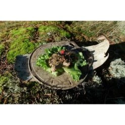 Kupilka Kaarna M - Planche à Découper-Original (Marron) -Promos Camping Boutique kupilka kaarna m planche a decouper original marron 2